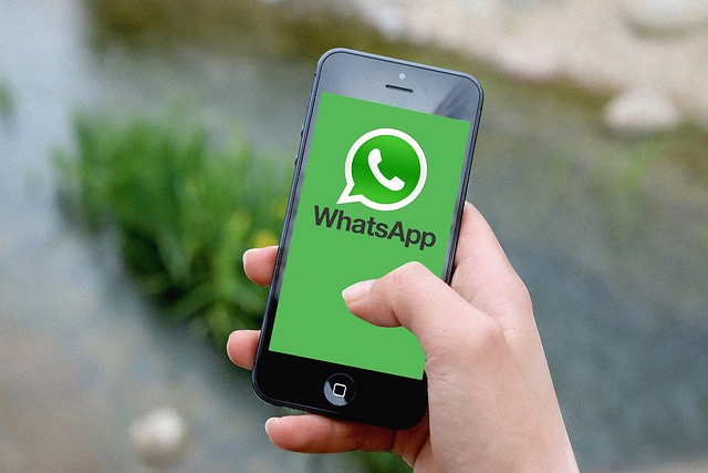 whatsapp营销效果怎么样