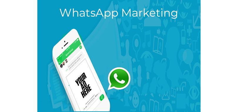 whatsapp营销工具