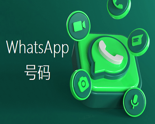 WhatsApp号码检查