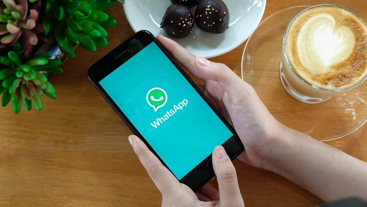 whatsapp群发工具