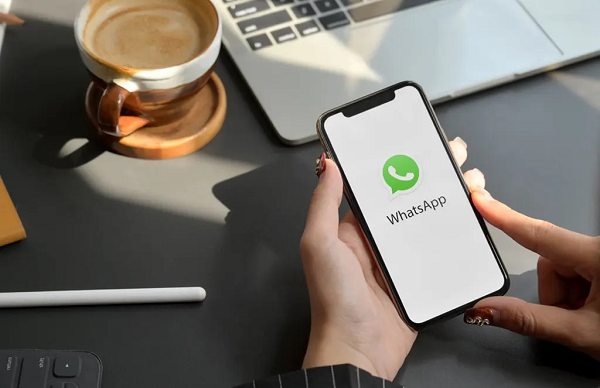 如何在线检查WhatsApp号码
