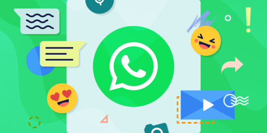 WhatsApp过滤器