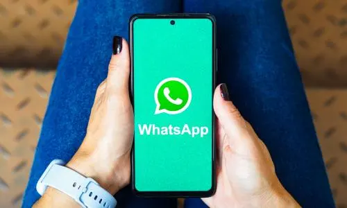 批量检测WhatsApp号码活跃