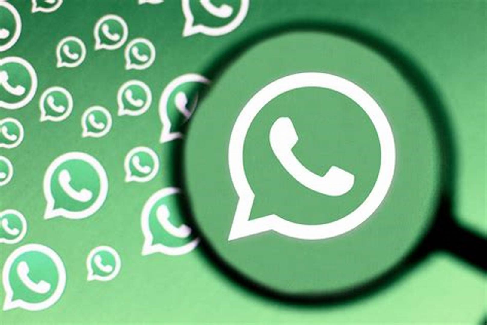 WhatsApp筛号软件