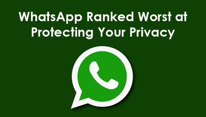如何使用WhatsApp客服系统备注客户信息