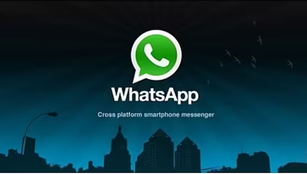如何使用WhatsApp客服系统通讯录助手