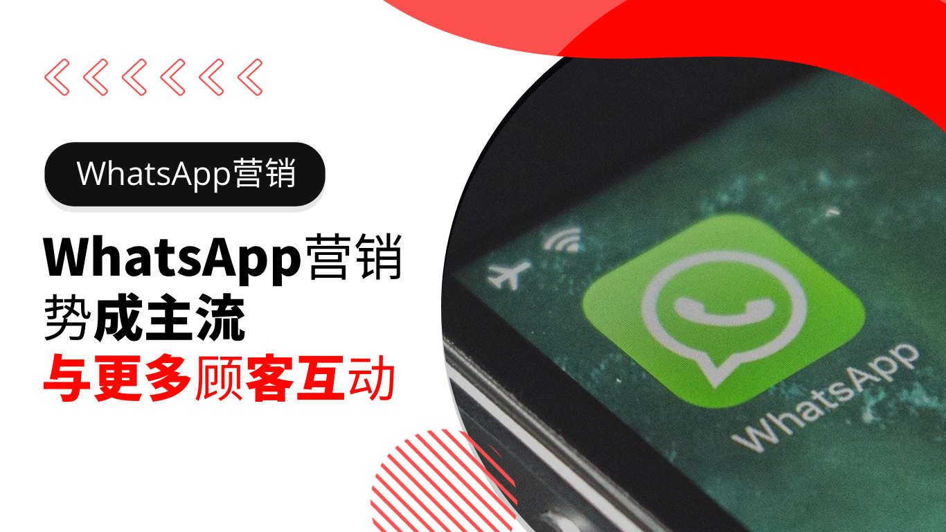 whatsapp动态营销