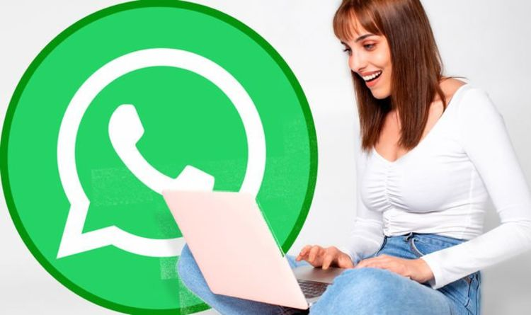 WhatsApp用户筛选器，WhatsApp号码过滤