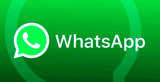 Whatsapp号码检查器 2024