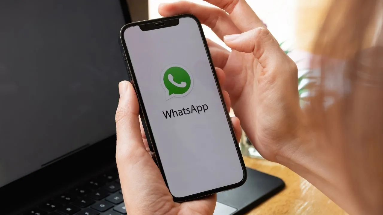 印度WhatsApp号码验证工具