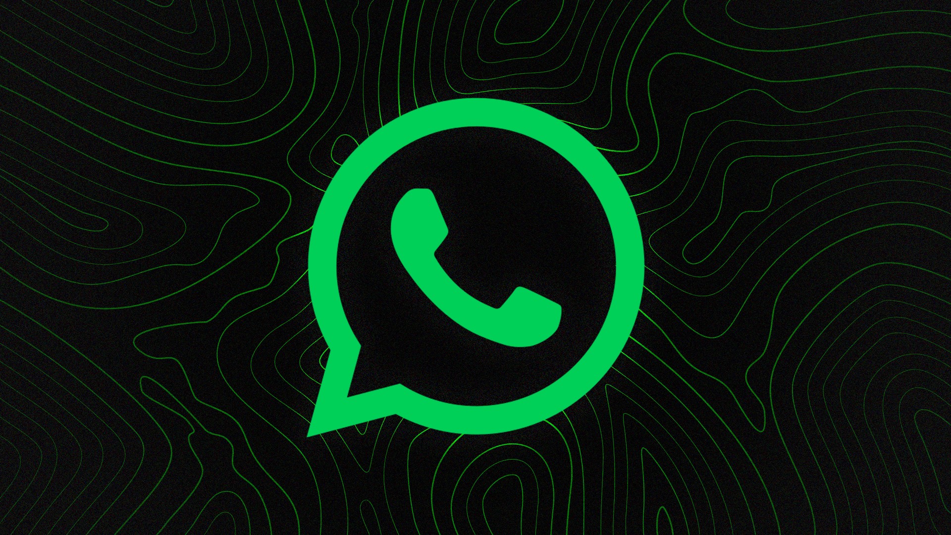 WhatsApp提升营销效率号码验证工具