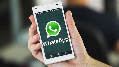 WhatsApp性别过滤辅助提升营销效率