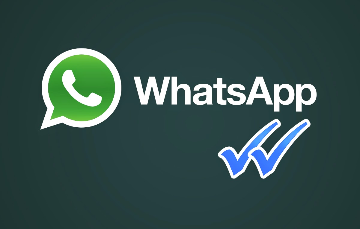 WhatsApp性别过滤工具有用吗？