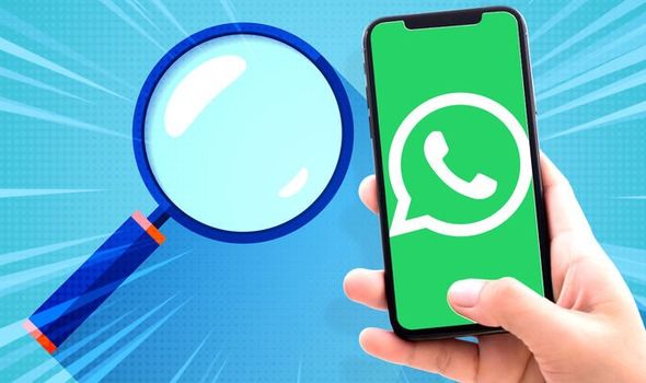 高级营销人员向您讲解WhatsApp群发系统的用处