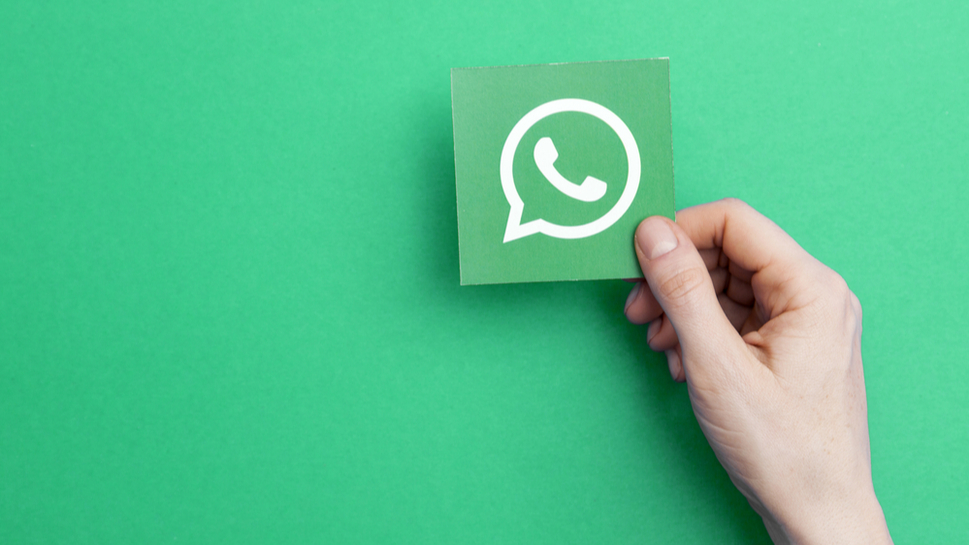 WhatsApp群发软件好用吗？