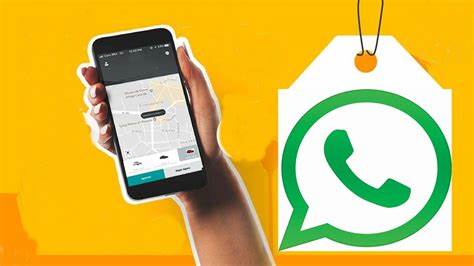 外贸人手把手教你选WhatsApp群发软件