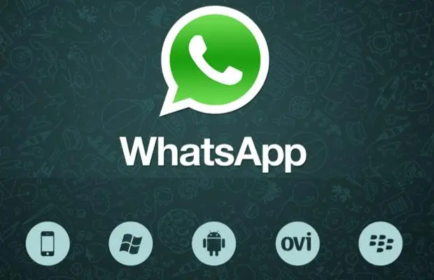 外贸必知-WhatsApp群发营销