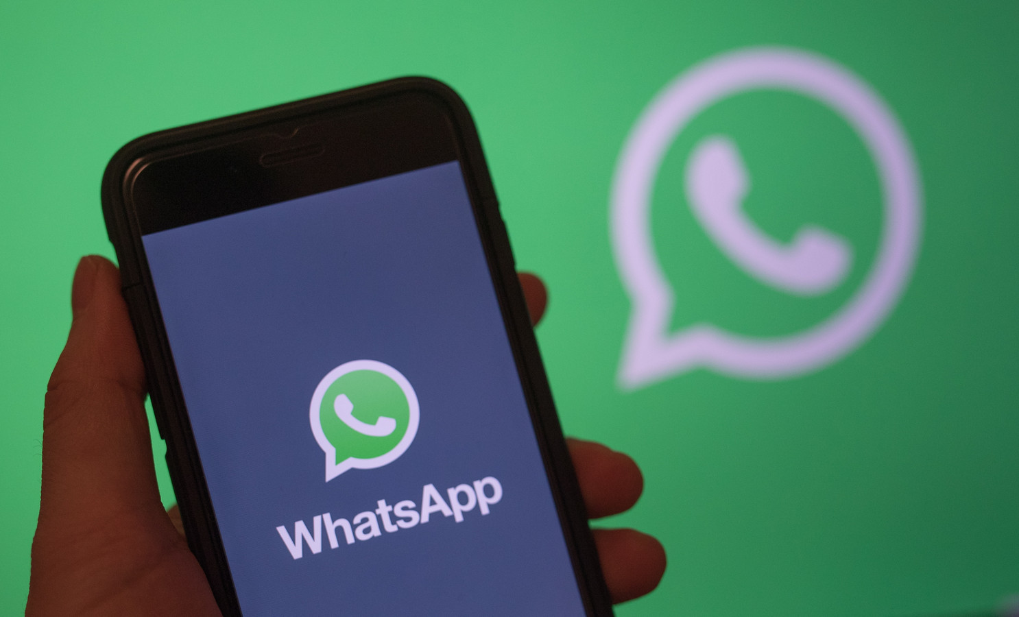 WhatsApp筛号软件