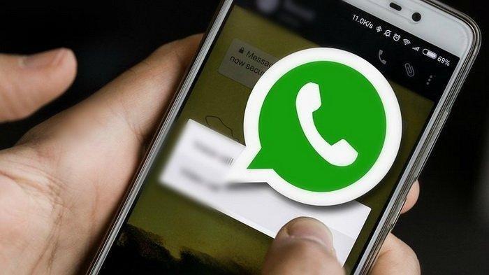 WhatsApp高效寻客软件