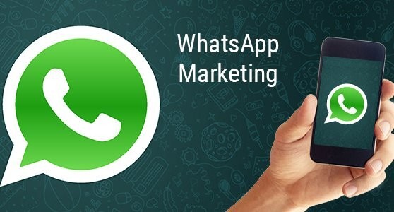 WhatsApp客户开发软件