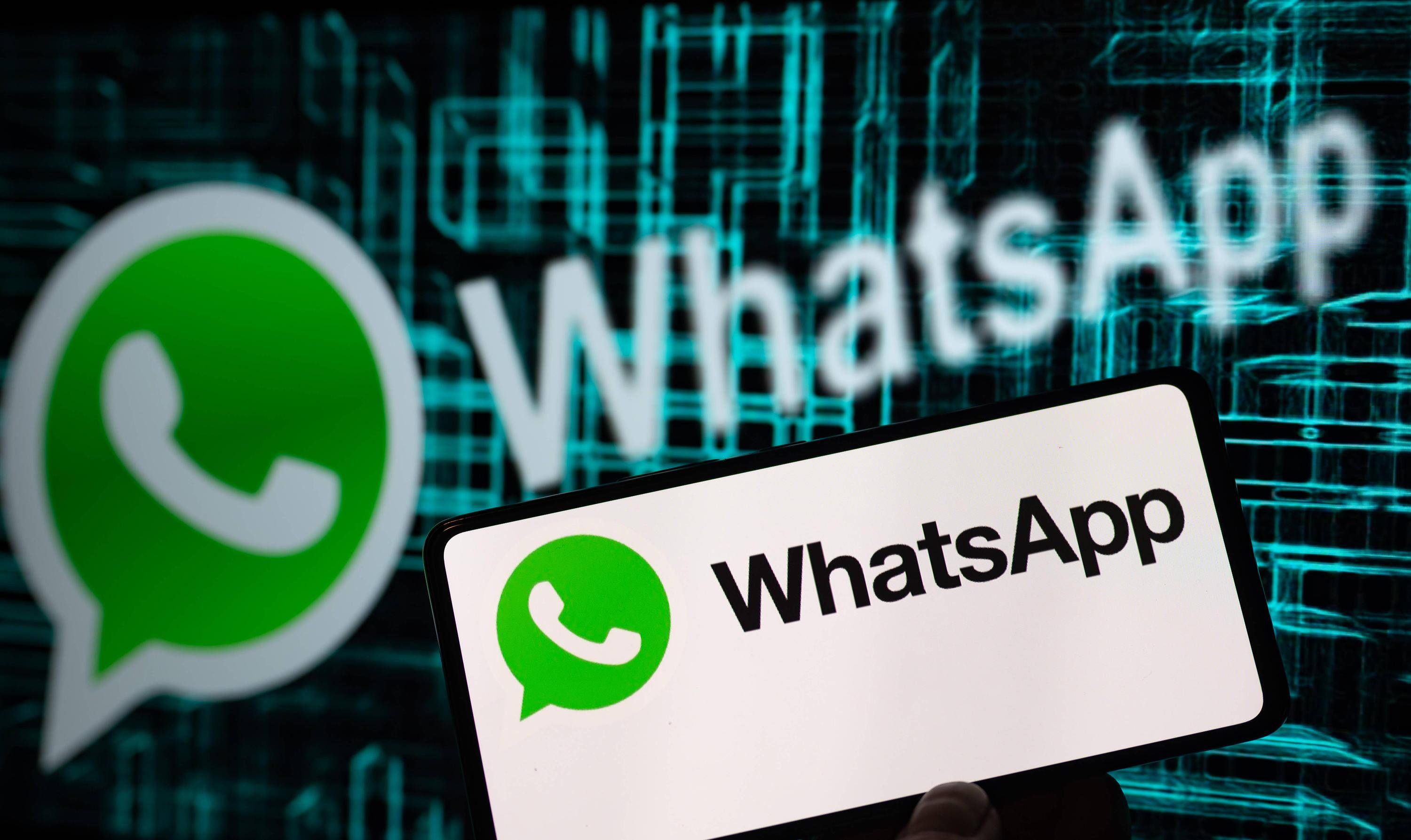 WhatsApp用户分类软件