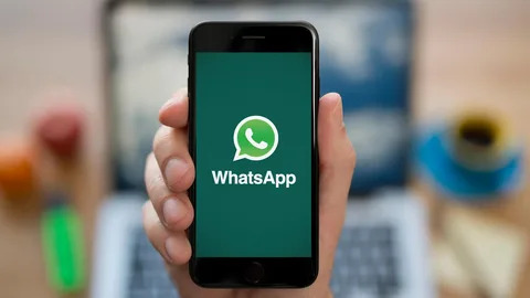 WhatsApp养号辅助软件