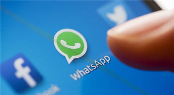 WhatsApp分类软件