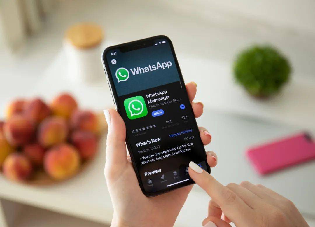WhatsApp用户分类软件