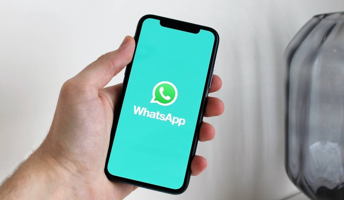 WhatsApp注册检查软件