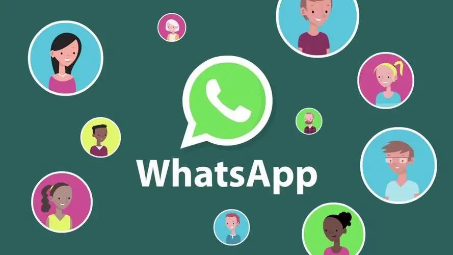 WhatsApp用户信息采集软件